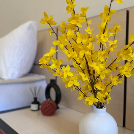 Apartament Dayanas Warna